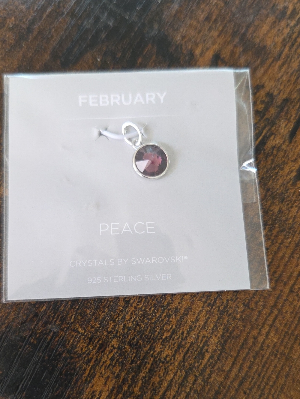 Origami Owl February CORE Memento Charm Pendant - CR1128
